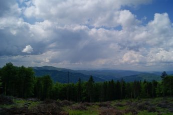 Panorama z okolic Cisowego Wierchu