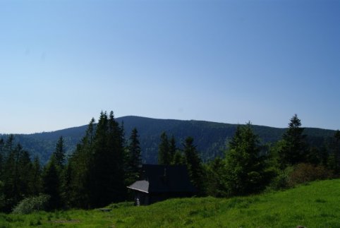 Radziejowa grujca nad hal