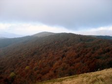 Widok na bieszczadzkie lasy z podejcia na Wielk Rawk