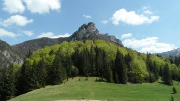 Widok z sedla Vrchpodžiar na Poludňové skaly oraz Veľký Rozsutec
