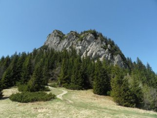 Widok na Mal Rozsutec z sedla Zkres