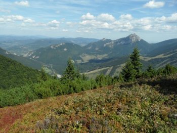 Widok na masyw Boboty, Mal Rozsutec i Vek Rozsutec spod szczytu Kraviarske