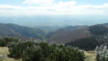 Widok z Suchego na poudnie