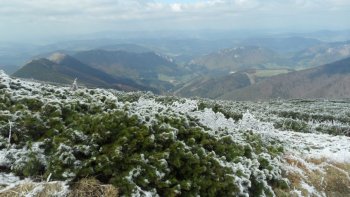 Widok na masywy Sokolie i Boboty z zejcia z Vekego Krivnia