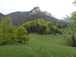 Widok z sedla Vrchpodiar na Poludov skaly, Vek Rozsutec we mgle