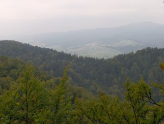 Widok z Zamku "Pieniny"