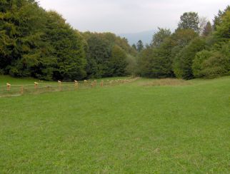 Widok z Przełęczy Szopka (779 m n.p.m.) na szlak żółty z Krościenka nad Dunajcem Widok z Przełęczy Szopka na szlak żółty z Krościenka nad Dunajcem