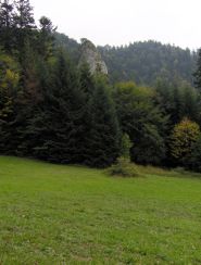 Kopa Siana wapienna turnia w masywie Trzech Koron Kopa Siana wapienna turnia w masywie Trzech Koron