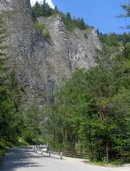 Pionowe skały wąwozu, którym biegnie niebieski szlak do słowackiej Leśnicy (Lesnica) (1)