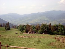 Widok z okolic Durbaszki