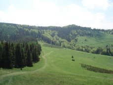 W drodze na Wysok wschodni czci grzbietu Maych Pienin