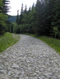Wygodny, szeroki chodnik na Polanę Kalatówki