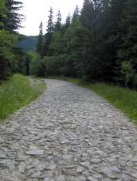 Wygodny, szeroki chodnik na Polan Kalatwki