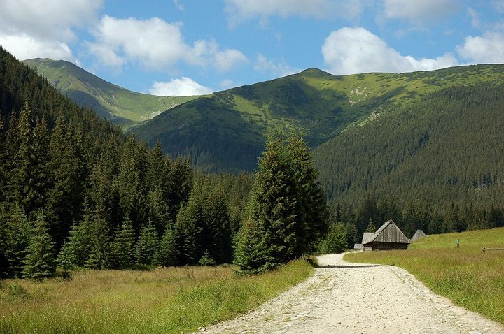 http://www.eurogory.com/tatry_polskie/dolina_chocholowska/images/2.jpg