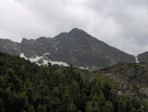 Widok na winic z podejcia na Karb