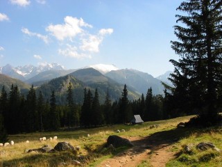 Panorama Tatr Wysokich z Rusinowej Polany