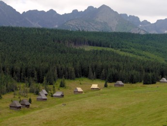 Polana pod Kopiecem