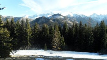 Widok na sowackie Tatry Wysokie z Rusinowej Polany