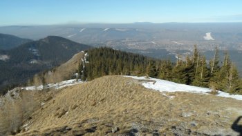 Widok ze szczytu na Podhale, w oddali Babia Gra