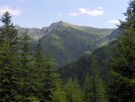 Widok na Kasprowy Wierch z okolic Niniej Przeczy Biaego