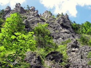 Jedna z interesujcych form skalnych w Dolinie za Bramk