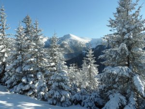 Widok z Niniej Przeczy Biaego na Kasprowy Wierch