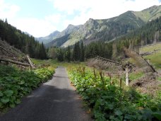 Widok do tyu - w kierunku Tomanowej Przeczy