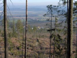 Widok w kierunku Tatrzaskiej Polanki (Tatransk Polianka)