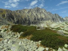 Widok na Koczyst znad Batyowieckiego Stawu