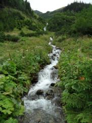 Potok spływający jednym ze żlebów w zboczach Barańca i Smreka