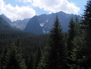 Widok na otoczenie Doliny Jaworowej