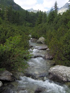 Potok Mięguszowiecki
