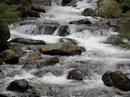 Potoki Doliny Żarskiej (3)