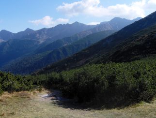 Widok na sowackie Tatry Zachodnie z podejcia na Brestow