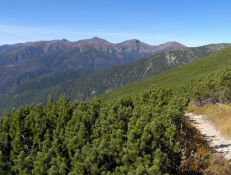 Widok na Tatry Zachodnie z podejcia na Krywa przez Prehyby