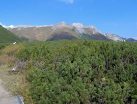 Widok na Tatry Bielskie znad Biaego Stawu