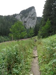 Lastovica - dolomitowa skaa grujca nad Polan pod Gon Ska