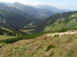 Widok z Szerokiej Przełęczy na Dolinę Zadnich Koperszadów w dole oraz w oddali Kozi Wierch, Granaty oraz masywy Wołoszyna i Koszystej