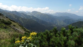 Panorama z Szerokiej Przełęczy na zachód, w oddali Kozi Wierch, Granaty oraz masywy Wołoszyna i Koszystej