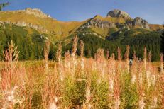 Widok na Tatry Bielskie z Doliny Zadnich Koperszadw (1)