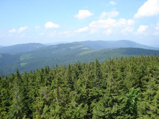 Widok z Baraniej Góry (1220 m n.p.m.) w kierunku Skrzycznego (1257 m n.p.m.) Widok z Baraniej Góry w kierunku Skrzycznego