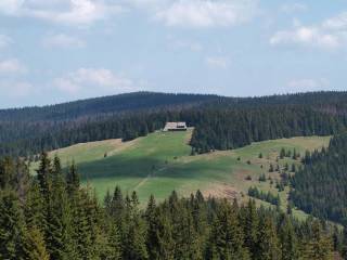 Widok na Dug Hal ze zboczy Turbacza