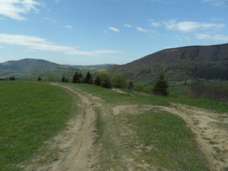 Na polanie za wsi Podrozsutec