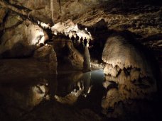 Jaskinia Bielska (Belianska jaskya) - charakterystyczne pagodowe stalagmity w Sali Palmowej (1)